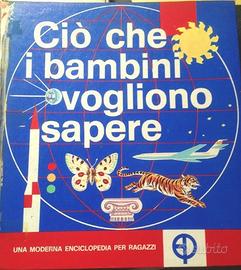 Ciò che i bambini vogliono sapere Leippe Limmer