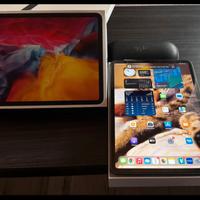 iPad 11 Pro seconda generazione 256gb