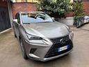 lexus-nx-300-hybrid-4wd-executive-sempre-taglian
