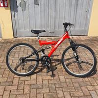 Bici Da Ragazzo