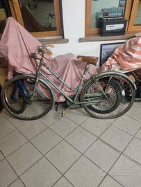 articoli palestra