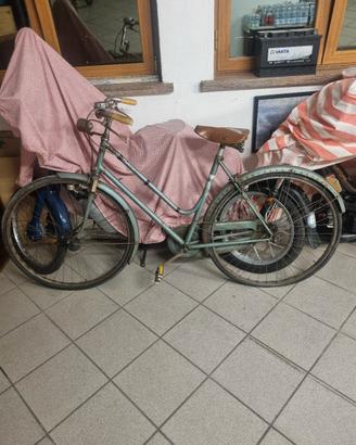 articoli palestra