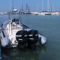 Coppia motori Mercury