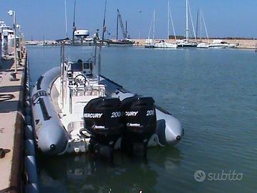 Coppia motori Mercury