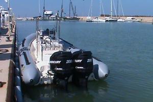 Coppia motori Mercury