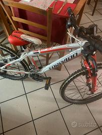 Bicicletta