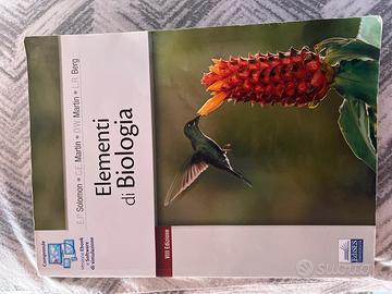 Libro