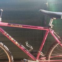 Bicicletta uomo
