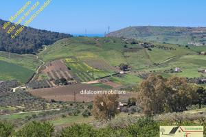 Villa vista mare con 6 ettari uliveto mandorleto