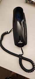 telefono fisso 