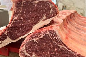 Vendita gastronomia e hamburgeria