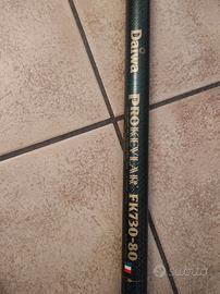 Canna da pesca Daiwa 8 mt