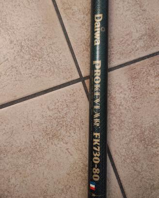 Canna da pesca Daiwa 8 mt