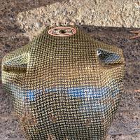 Paramotore beta