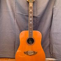 Chitarra Eko 12 corde - Rio Bravo