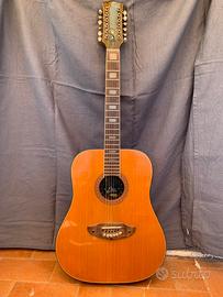 Chitarra Eko 12 corde - Rio Bravo