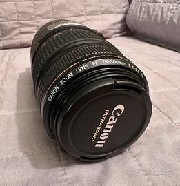 Canon EF 75-300 F4-5.6 IS USM