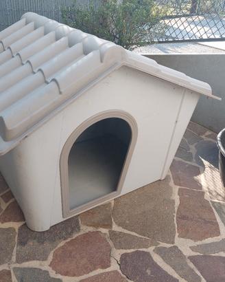 cuccia per cane medio