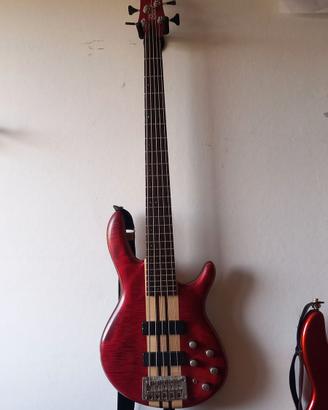 Basso Cort A5 plus