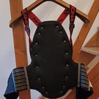 tartaruga protezione moto 