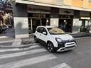 fiat-panda-1-0-firefly-s-s-hybrid-pandina-cross-