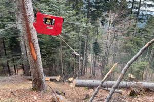 Teleferica forestale + corrello Bergwald 3000