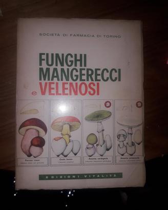  Funghi mangerecci e velenosi