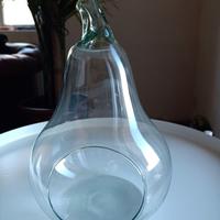 Vaso vetro porta piante