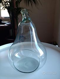 Vaso vetro porta piante