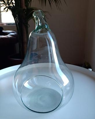 Vaso vetro porta piante