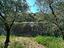 Immagine 16