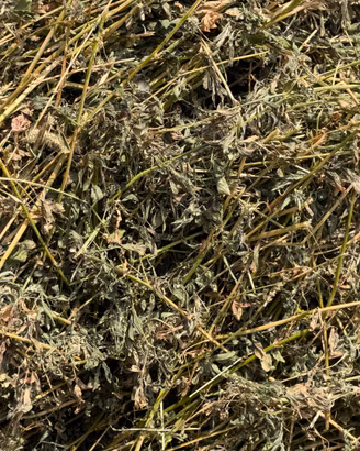 Fieno di erba medica 2026
