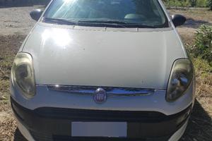 punto evo