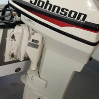Johnson J 40 PL