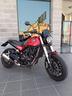 benelli-leoncino-500
