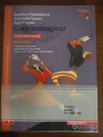 Caro Immaginar - Narrativa multimediale (LDM)