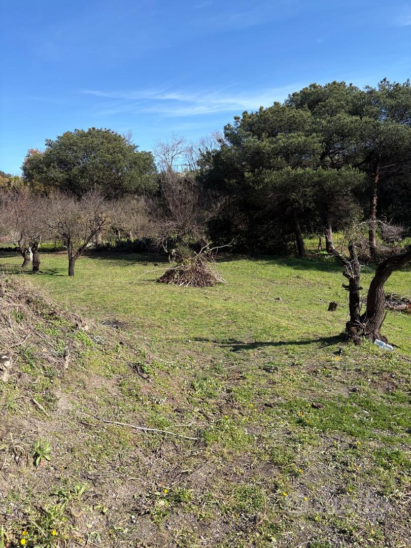 Terreno agricolo - Altro
