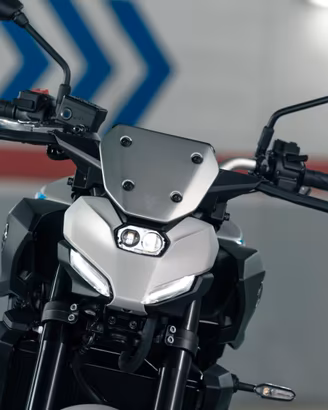 SCHERMO SPORTIVO CUPOLINO ALLUMINIO YAMAHA MT-09