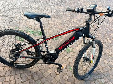 BICI ELETTRICA