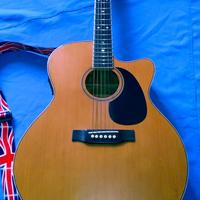 Chitarra acustica Maison
