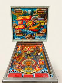 flipper zaccaria  1979
