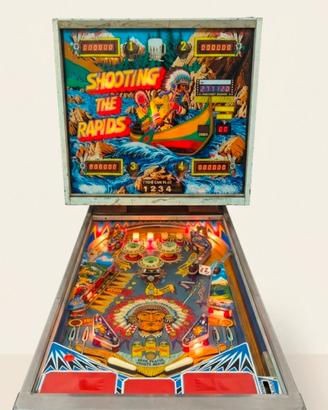 flipper zaccaria  1979