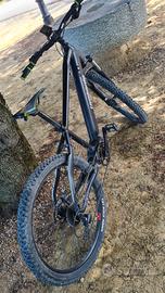 bici elettrica