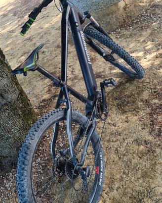 bici elettrica