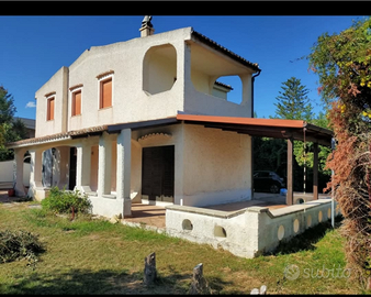 Disponibile da giugno a metà agosto