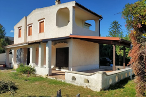 Disponibile da giugno a metà agosto