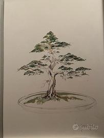 Stampe Bonsai di Diego Marzola