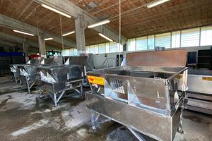 Impianto lavorazione ortaggi