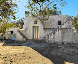 Uliveto con trullo zona maraciccappa