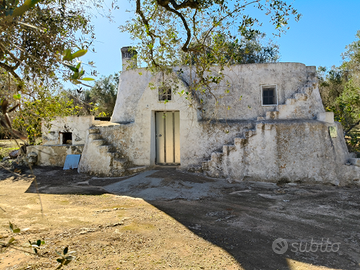 Uliveto con trullo zona maraciccappa